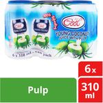 Ice Cool Young Coconut Can Juice Pulp