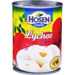 Hosen Fruits In Syrup Lychee 565g