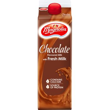 F&N Magnolia Chocolate Flavoured Milk with Fresh Milk 500ml