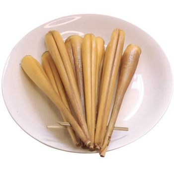 Panaki Langu Palmyra Sprout