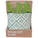 Boutique Garden Succulent Collection Polka Dots