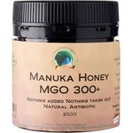 Green Earth Organic Pumpkin Bee Hoon 200g