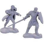 Dungeons & Dragons Reborn Paladin And Warlock