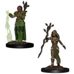 Wizkids Human Druid Female