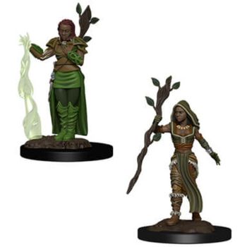 Wizkids Human Druid Female