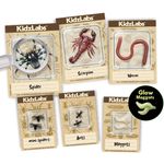 4M Kidz Labs Creepy Crawly Digging Kit