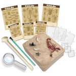 4M Kidz Labs Creepy Crawly Digging Kit