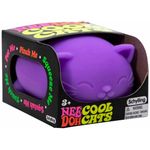 Schylling NeeDoh® Cool Cats