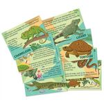 4M Mould And Paint Reptiles And Amphibians