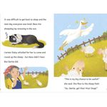 Maverick Early Reader Turquoise Level 7 Guard Goose