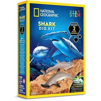 National Geographic Hammerhead Shark Dig Kit