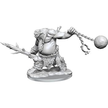 Wizkids Dungeons And Dragons Frameworks Ogre