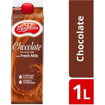 F&N Magnolia Fresh Milk Chocolate