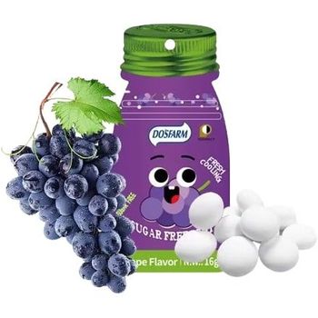 Dosfarm Sugar Free Mints Grape Packet 16g