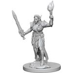 Wizkids Pathfinder Deep Cuts: Elf Female Fighter 2