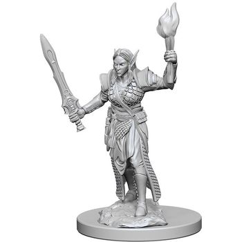 Wizkids Pathfinder Deep Cuts: Elf Female Fighter 2