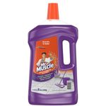 Mr Muscle Kleen Floor Cleaner Multi Purpose Cleaner Lavender 2l