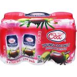 Ice Cool Young Coconut Can Juice Pulp Roasted