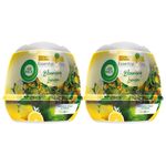 Air Wick Air Freshener Scented Gel Cone Aromatic Blooming Lemon 2pcs 180g