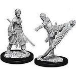 Wizkids Half-Elf Monk Male