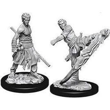 Wizkids Half-Elf Monk Male
