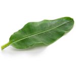 Banana Leaf          