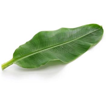 Banana Leaf          