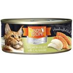 Cindy's Recipe CR-S09 Signature Series Salmon & Squid Soup Calamari Staple Cat Food 70g