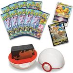 Pokemon TCG GO Dragonite VStar Premier Deck Holder Collection