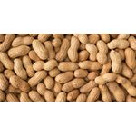India Groundnut Raw Approx 500gm
