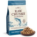 Absolute Bites Raw Chunks Freeze Dried Raw Food for Cats & Kittens – Salmon Recipe 150g