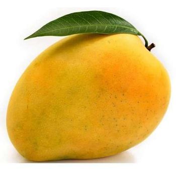 Banganapalli Mango
