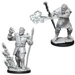 Wizkids Firbolg Druid (Wave 11)