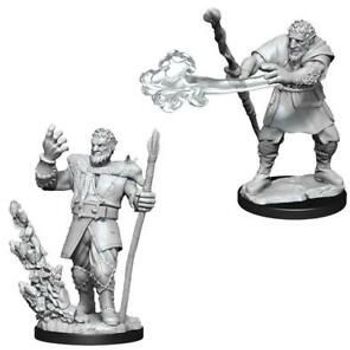 Wizkids Firbolg Druid (Wave 11)