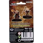 Dungeons & Dragons Nolzurs Marvelous Unpainted Miniatures