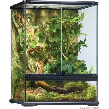 Exo Terra Small Tall Terrarium