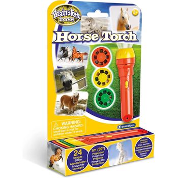 Brainstorm Torch And Projector Horse