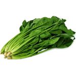 BAYAM SPINACH        