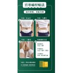 Chen Ai Pain Relief Patch