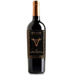 Paso a Paso 2019 Organic Wine 750ml