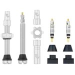 Wolf Tooth Tubeless Valve Stem Kit Raw Silver