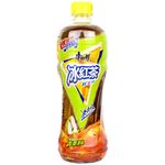 康师傅青苹果冰红茶500ML | Master Kong Ice Tea Drinks with Black Tea & Apple 500ml
