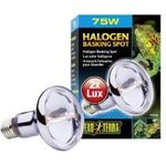Exo Terra Halogen Basking Spot 75w