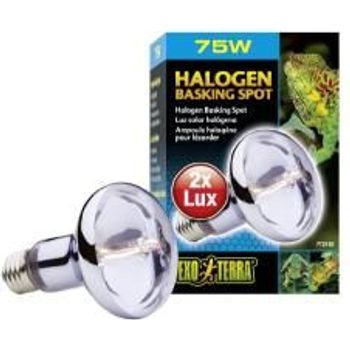Exo Terra Halogen Basking Spot 75w