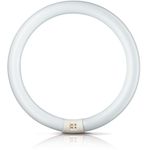Philips lighting TL E Circular Standard Colours