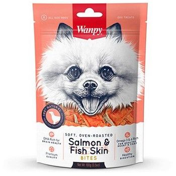 Wanpy Salmon & Fish Skin 100g