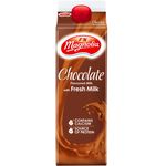 F&N Magnolia Chocolate Flavoured Milk with Fresh Milk 500ml
