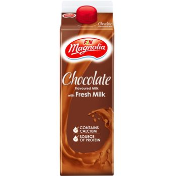F&N Magnolia Chocolate Flavoured Milk with Fresh Milk 500ml