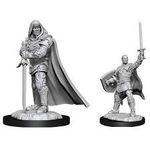 WizKids D&D Nolzur's Marvelous Unpainted Miniatures Human Paladin Male