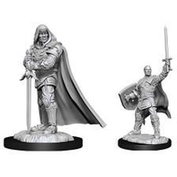 WizKids D&D Nolzur's Marvelous Unpainted Miniatures Human Paladin Male